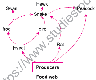 CBSE Class 10 Science Our Environment Assignment Set B-2