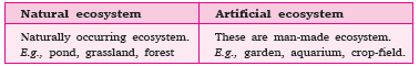 CBSE Class 10 Science Our Environment Assignment Set B