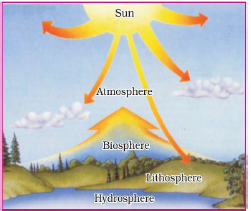 CBSE Class 7 Social Science Geography Human Environment Worksheet
