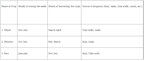 CBSE Class 9 Economics The Story of Village Palampur Worksheet Set B-1