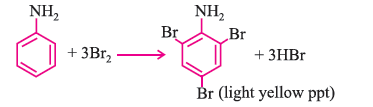 Amines 17