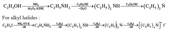 Amines 18