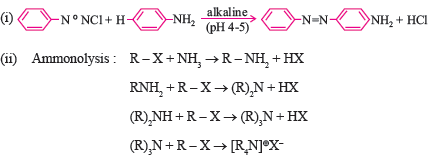 Amines 29