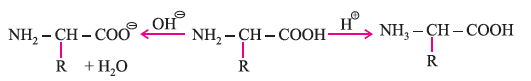 BIOMOLECULES 3