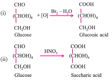 BIOMOLECULES 5