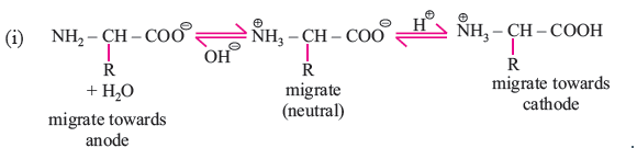 BIOMOLECULES 6