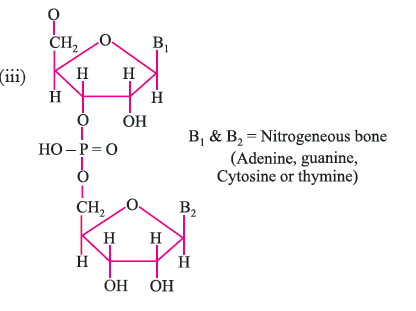 BIOMOLECULES 7