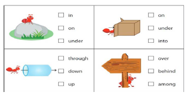 CBSE Class 1 English Revision Worksheet Set B_8