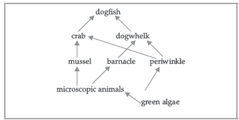 CBSE Class 10 Biology Our Environment Worksheet Set B_2