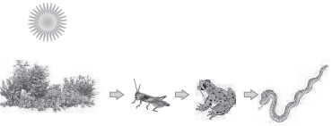 CBSE Class 10 Biology Our Environment Worksheet Set B_3