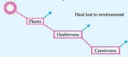 CBSE Class 10 Biology Our Environment Worksheet Set C_3.png