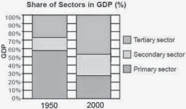 CBSE Class 10 Economics Sectors Of Indian Economy Worksheet Set A_4