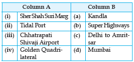 CBSE Class 10 Geography HOTs Lifelines of National Economy in Hindi_1