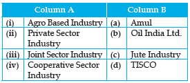 CBSE Class 10 Geography HOTs Manufacturing Industries in Hindi_1