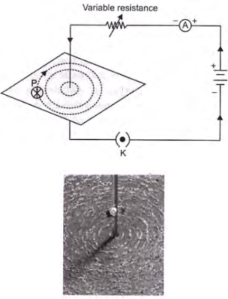 CBSE Class 10 Physics Magnetic Effect of Electric Current Worksheet Set D_8