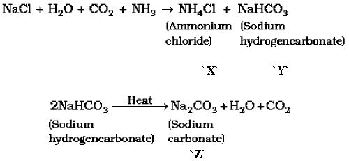 CBSE Class 10 Science HOTs Question Acids Bases And Salts_10