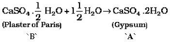CBSE Class 10 Science HOTs Question Acids Bases And Salts_11