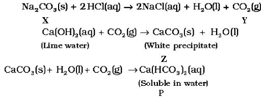 CBSE Class 10 Science HOTs Question Acids Bases And Salts_2