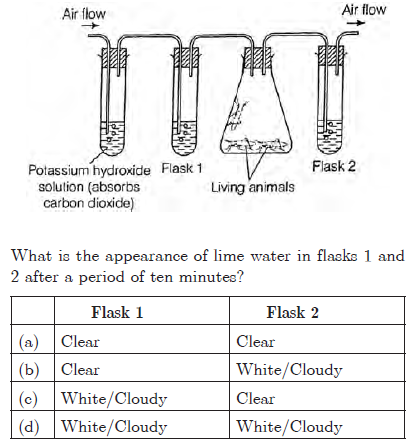 CBSE Class 10 Science Life Processes Worksheet_10