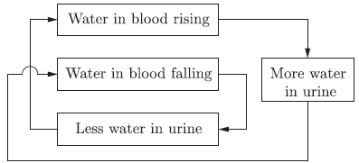 CBSE Class 10 Science Life Processes Worksheet_12