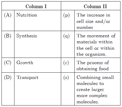 CBSE Class 10 Science Life Processes Worksheet_19