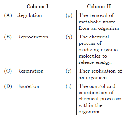 CBSE Class 10 Science Life Processes Worksheet_20