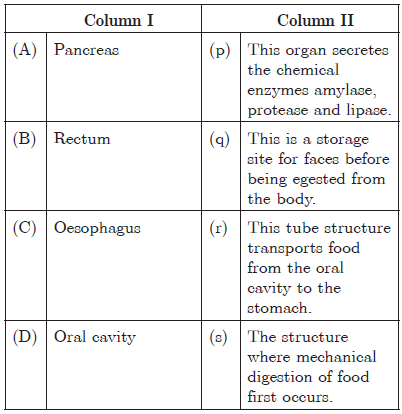 CBSE Class 10 Science Life Processes Worksheet_21