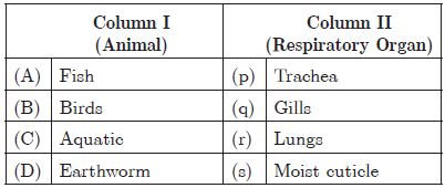 CBSE Class 10 Science Life Processes Worksheet_22