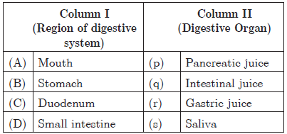 CBSE Class 10 Science Life Processes Worksheet_23