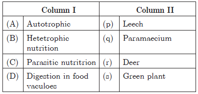 CBSE Class 10 Science Life Processes Worksheet_24