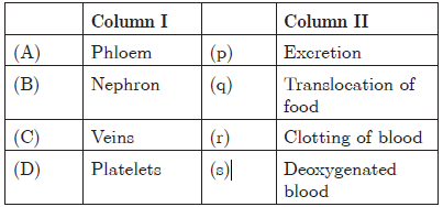 CBSE Class 10 Science Life Processes Worksheet_25