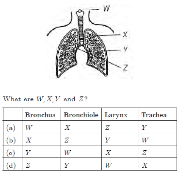 CBSE Class 10 Science Life Processes Worksheet_7