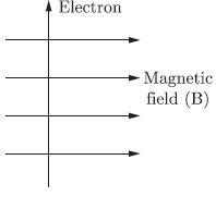 CBSE Class 10 Science Magnetic Effects Of Current Worksheet Set C_10
