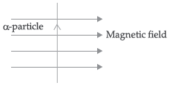 CBSE Class 10 Science Magnetic Effects of Electric Current Assignment Set B_12