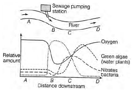 CBSE Class 10 Science Our Environment Worksheet_1