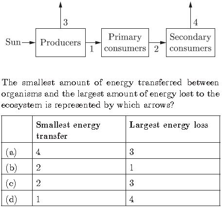 CBSE Class 10 Science Our Environment Worksheet_2