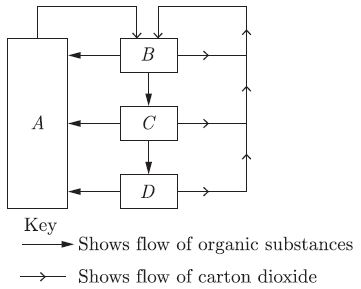 CBSE Class 10 Science Our Environment Worksheet_4