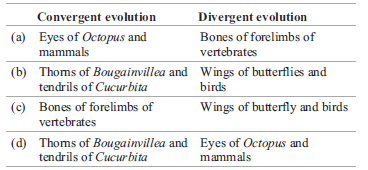 CBSE Class 12 Biology Evolution Assignment Set A_2