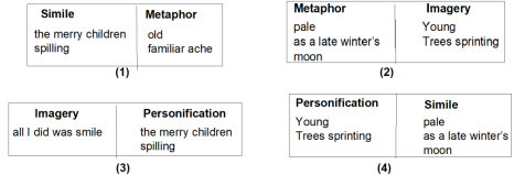 CBSE Class 12 English My Mother at Sixty-six VBQs_2