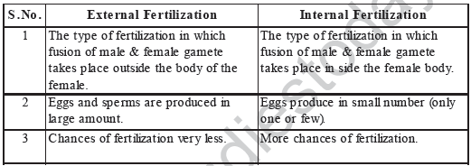 CBSE Class 8 Science Animal Reproduction Notes