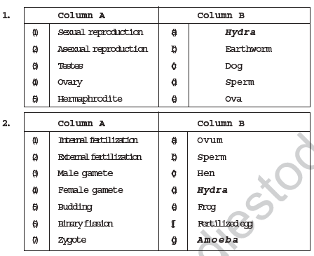 CBSE Class 8 Science Reproduction in Animals Notes CBSE Class 8 Science Reproduction in Animals Notes