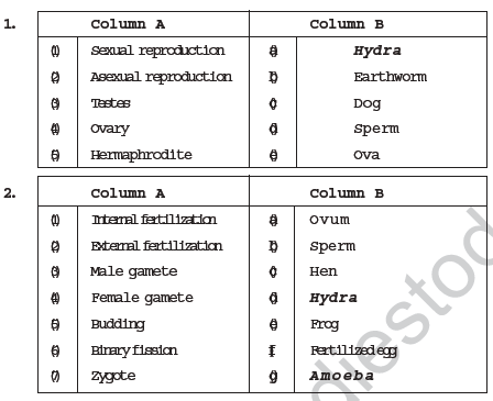 CBSE Class 8 Science Animal Reproduction Notes