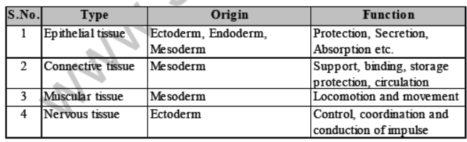 CBSE Class 8 Science Cell Structure And Functions Notes Set A