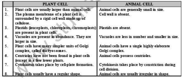 CBSE Class 8 Science Cell Structure And Functions Notes Set A