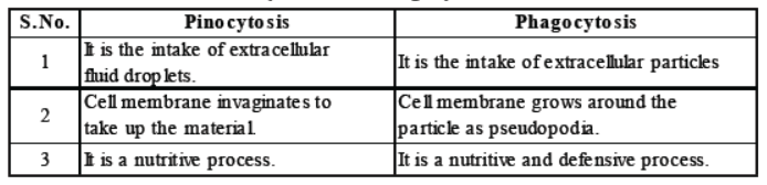 CBSE Class 8 Science Cell Structure And Functions Notes Set A
