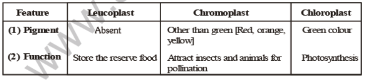 CBSE Class 8 Science Cell Structure And Functions Notes Set A