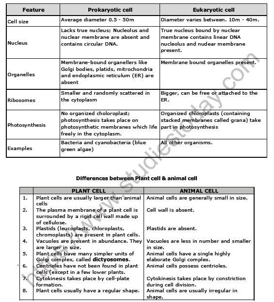 CBSE Class 8 Science Cell and Tissue Notes Set A