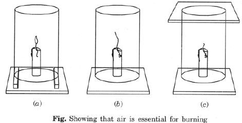 CBSE Class 8 Science Combustion and Flame Chapter Notes_6