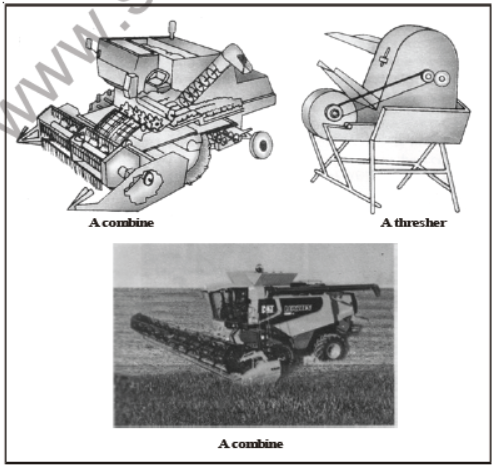 CBSE Class 8 Science Crop Production And Management Notes Set B