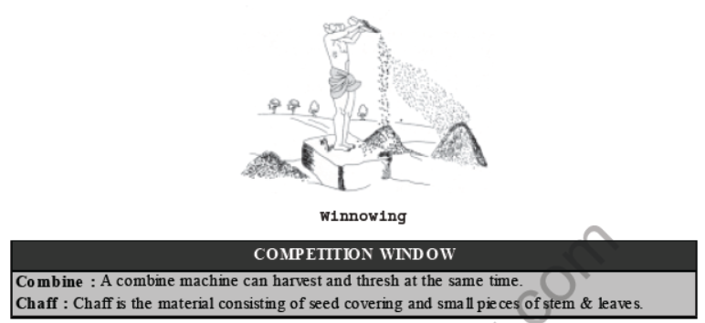 CBSE Class 8 Science Crop Production And Management Notes Set B